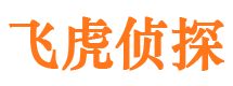 达孜侦探公司